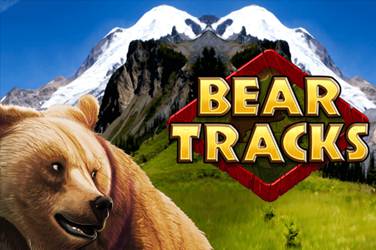Bear tracks